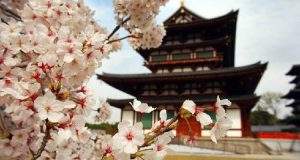 5 razones para hacer jardinería japonesa