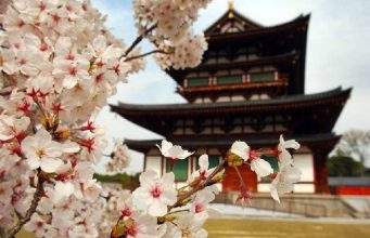 Top 5 razones para hacer jardinería japonesa 5 razones para hacer jardinería japonesa