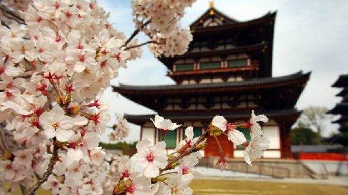 5 razones para hacer jardinería japonesa 5 razones para hacer jardinería japonesa
