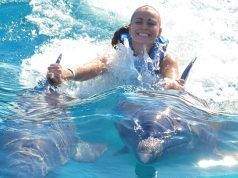 Aquaventuras Park: El parque acuático en Puerto Vallarta con balneario de delfines Aquaventuras Park: El parque acuático en Puerto Vallarta con balneario de delfines