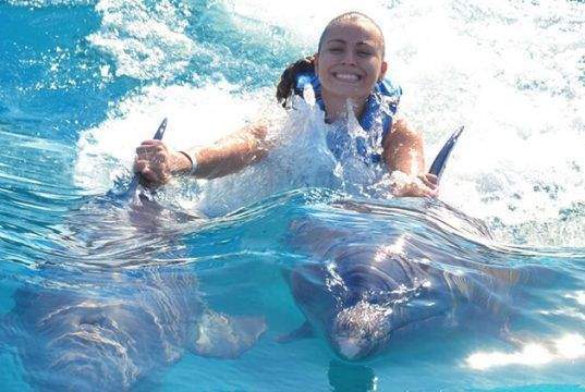 Aquaventuras Park: El parque acuático en Puerto Vallarta con balneario de delfines