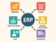 Software ERP: Qué significa, cómo funciona y ejemplos de casos prácticos Software ERP