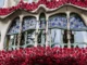 Fotos de la Casa Batllò con la rosa de Sant Jordi Casa Batllò en Sant Jordi