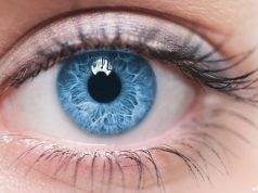 Color del iris ¿Qué aspectos influyen en el color de los ojos? Color del iris y el color de los ojos