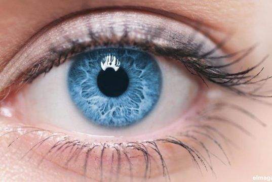 Color del iris y el color de los ojos