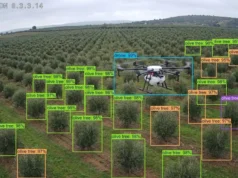 Un dron sobrevolando un olivar