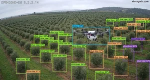 Un dron sobrevolando un olivar
