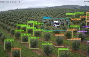 Tecnología al servicio de la sostenibilidad: drones, sensores inteligentes, inteligencia artificial y BIM para transformar nuestro mundo Un dron sobrevolando un olivar