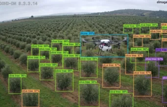 Tecnología al servicio de la sostenibilidad: drones, sensores inteligentes, inteligencia artificial y BIM para transformar nuestro mundo Un dron sobrevolando un olivar