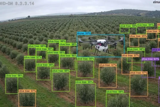 Un dron sobrevolando un olivar