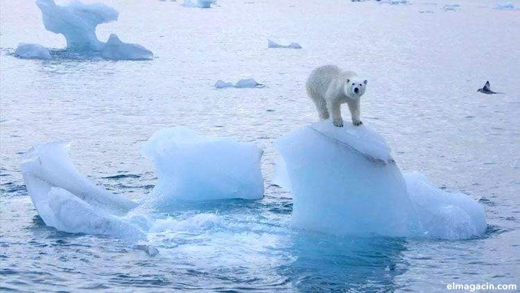 Los científicos advierten que se agrava el cambio climático en la Tierra