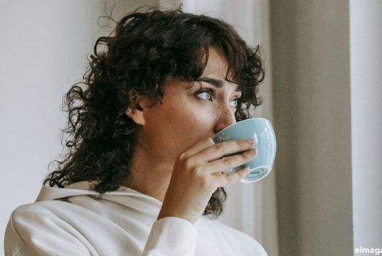 sabores de té