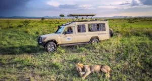 Safari en Tanzania durante 12 días