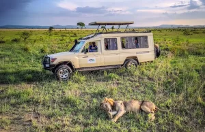Vive un safari en Tanzania durante 12 días Safari en Tanzania durante 12 días