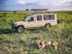 Vive un safari en Tanzania durante 12 días Safari en Tanzania durante 12 días