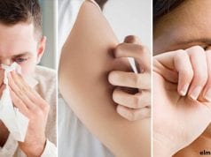 Los estornudos, la urticaria y los picores en los ojos son síntomas comunes entre distintos tipos de alergias